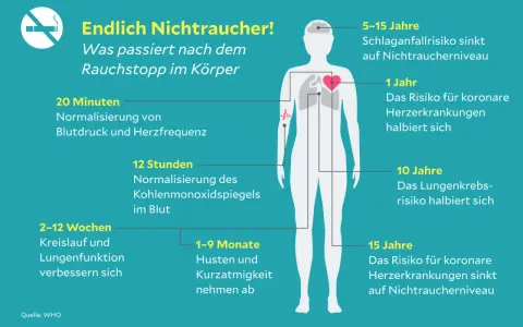 Nach Rauchstopp normalisieren sich Blutdruck & Herzfrequenz. Die nikotin wirkung auf das nervensystem lässt nach, Risiken für Herz & Lunge sinken.
