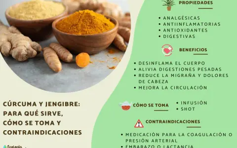 Jengibre y cúrcuma en polvo y raíces. Se detallan propiedades, beneficios y contraindicaciones del jengibre, como su uso en medicación para coagulación o presión arterial.