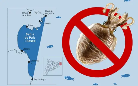 Prohibida la pesca de la sepia en la Badia de Pals i Roses. Mapa de la costa catalana con señal de prohibido sobre una sepia.