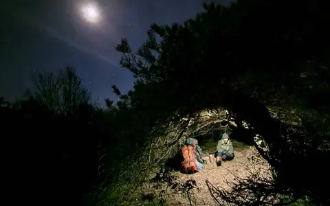 Två personer sitter under en grenig gran, redo att sova under bar himmel. Månen lyser upp natthimlen.