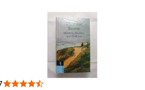 Buchcover von Theodor Storms "Märchen, Novellen und Gedichte" mit Küstenlandschaft und zwei Figuren.