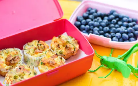 Kolorowe pudełka śniadaniowe z muffinkami jajecznymi i borówkami. Idealne przekąski dla dzieci, które umilą każdy dzień.