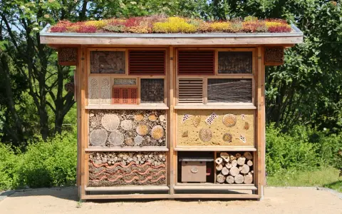 Ein liebevoll gestaltetes **Insektenhotel DIY** mit begrüntem Dach, gefüllt mit Holz, Tannenzapfen und Lehm. Ein Paradies für nützliche Insekten.