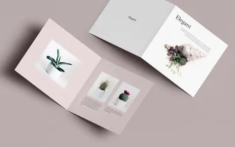 Díptico mockup con plantas en macetas blancas y una concha marina. Diseño elegante y minimalista.