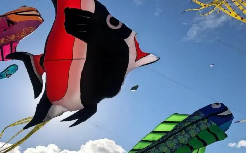 Bunte Drachen in Fischform tanzen am Himmel beim Fehmarn Drachenfest. Ein großer roter und schwarzer Fischdominiert, daneben ein grüner Fisch und ein gelber Tintenfisch.