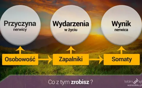 Schemat wyjaśniający przyczyny nerwicy: osobowość, wydarzenia życiowe i zapalniki prowadzą do somatycznych objawów nerwicy.