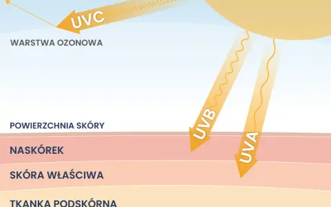Promienie UV, co to? UVC odbija się od warstwy ozonowej, UVA i UVB docierają do skóry, naskórka i głębiej.