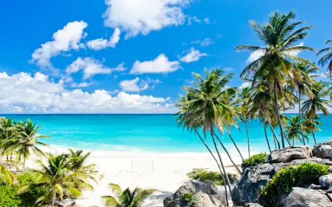 Traumhafter Strand auf Barbados mit Palmen und türkisblauem Meer. Die beste Reisezeit für dieses Paradies ist jetzt!