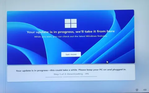 Windows 11 installieren: Update läuft, 0% heruntergeladen. Geduld ist gefragt, während die neuesten Features geladen werden.