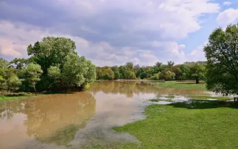 Jak sprawdzić tereny zalewowe i uniknąć ryzyka zalania działki