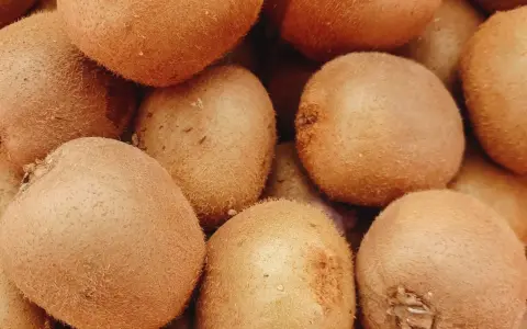 Kaloryczność kiwi: 46 kcal! Odchudzanie, odporność, lepszy sen.