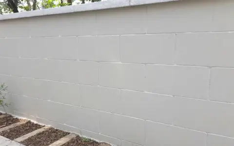 Mur extérieur en béton cellulaire peint en blanc, avec une bordure en pierre grise au sommet. Des plantes poussent à la base.