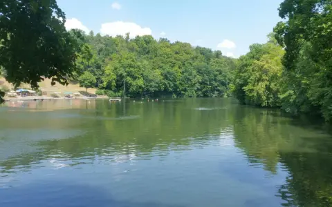 Ein sonniger Tag am Badesee Pforzheim. Grüne Bäume säumen das Ufer, während einige Schwimmer im Wasser ihre Bahnen ziehen.