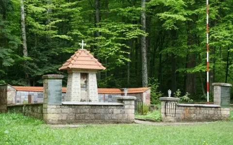 Rezerwat przyrody Wykus: piękno natury i historia partyzancka