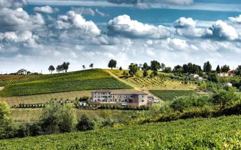 Un perfetto weekend nel Monferrato tra vigneti rigogliosi e colline dolci, con un casale in pietra che domina il paesaggio.