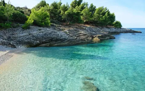 Kamienista plaża i turkusowa woda w Medulin Chorwacja. Skaliste wybrzeże porośnięte sosnami.