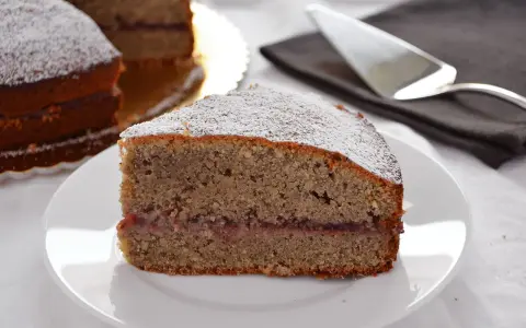 Una fetta di torta grano saraceno trentino, con marmellata e zucchero a velo, su un piatto bianco.