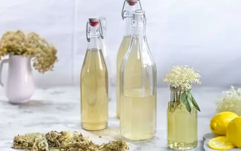 Flaschen mit hellem Holunderblütensirup, bereit zum Holunderschnaps ansetzen. Getrocknete Blüten, Zitronenscheiben und frische Blüten zieren die Szene.