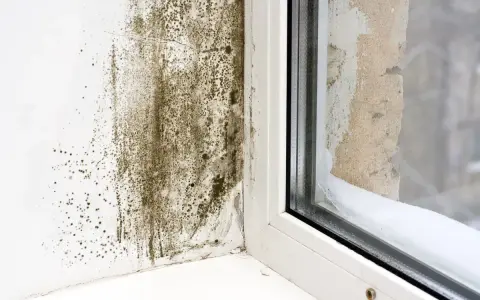 Moisissure sur un mur près d'une fenêtre, signe d'un point de rosée maison mal géré. L'humidité s'est accumulée, favorisant la croissance fongique.