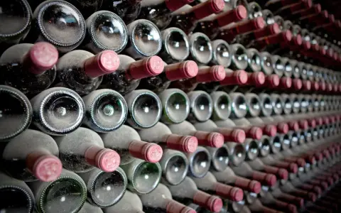 Staubige Wein­fla­schen, die auf­ge­reiht lagern. Die "crianza bedeutung" liegt in der Reife und dem Ausbau, der dem Wein seinen Charakter verleiht.