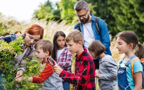 Za co odpowiada wychowawca na kolonii? Bezpieczeństwo i prawo