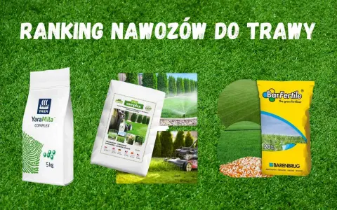 Ranking nawozów do trawy: YaraMila Complex, Barenbrug BarFertile. Wybierz najlepszy nawóz do trawy dla swojego ogrodu.