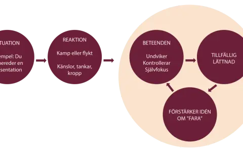 Schema som illustrerar acceptans psykologi: situation, reaktion (kamp/flykt, känslor, tankar, kropp), beteenden (undviker, kontrollerar, självfokus) leder till tillfällig lättnad, som förstärker idén om fara.