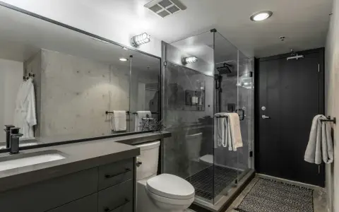 Baño moderno con mampara de ducha de cristal, inodoro, lavabo y puerta negra. Varios tipos de mamparas de ducha se ven en la imagen.