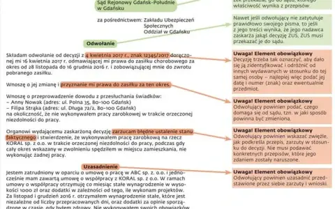 Orzeczenie ZUS: Co dalej? Twój przewodnik po odwołaniu i prawach