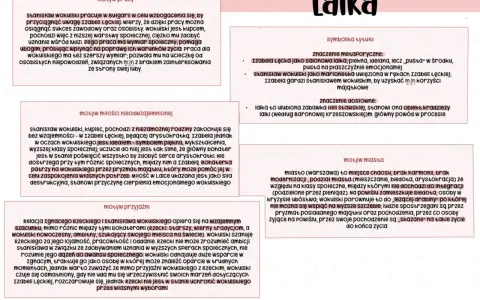 Lalka Prusa - motywy pracy, miłości, przyjaźni, miasta i symbolika tytułu.