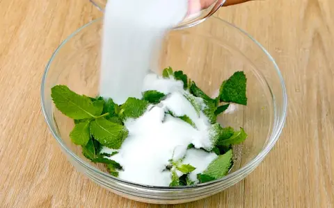 Zucchero bianco viene versato su foglie di menta fresca in una ciotola di vetro, per preparare uno sciroppo di menta fatto in casa.