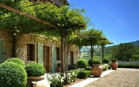 Splendide idee case di campagna esterni: un pergolato verde ombreggia una casa in pietra con persiane verdi, circondata da piante in vaso e un paesaggio collinare.