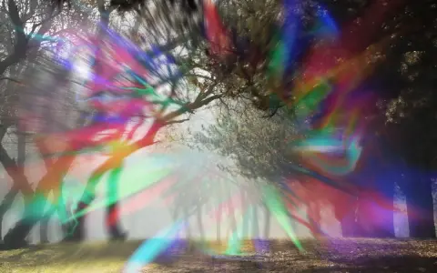 Un bosco nebbioso con alberi stilizzati, illuminato da un'esplosione di colori vibranti che sembrano un'aura occhi.