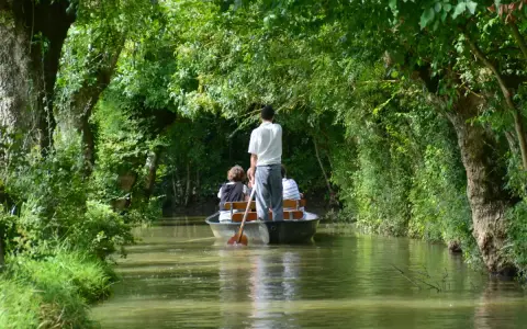 Une petite barque navigue sur un canal bordé d'arbres luxuriants. Un homme debout manœuvre la barque avec une rame, transportant des passagers.