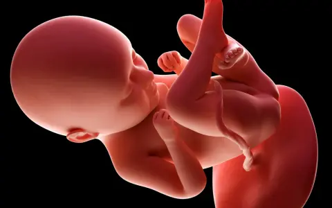 Płód w 35 tygodniu ciąży, gotowy do przyjścia na świat. Dziecko rozwija się w łonie matki, przygotowując się do narodzin.