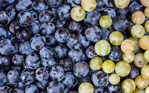 Nahaufnahme von dunklen und hellen Trauben, die an die Herstellung von Wein mit Sulfite erinnern.