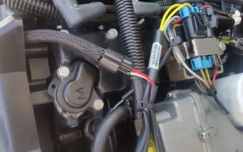 Détail du câblage d'un moteur Mercury 50cv 4 temps. Fiche technique visible sur un câble.