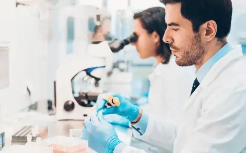 Ricerca di offerte di lavoro tecnico di laboratorio biomedico: due scienziati lavorano con provette e microscopio in un laboratorio moderno.