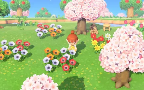 Una jugadora de Animal Crossing New Horizons admira un campo de flores de cerezo y anémonas de colores.