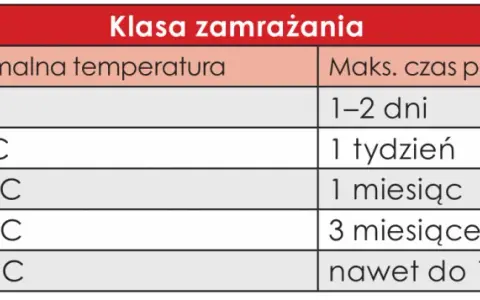 Ile stopni ma zamrażarka? Optymalna temp. (-18°C) i oszczędność!