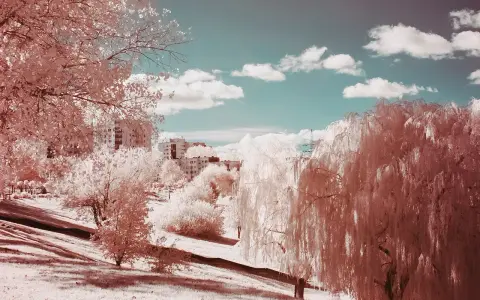 Paisaje urbano con árboles de sauce llorón y edificios, capturado en **fotografía infrarroja** con un cielo azul y nubes blancas.