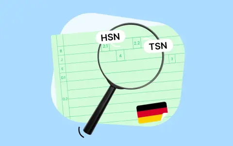 Lupe über Dokument mit HSN und TSN aus Fahrgestellnummer. Deutsche Flagge.