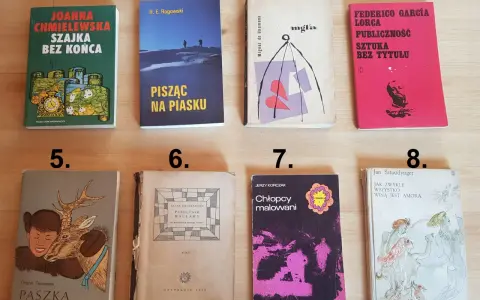 Gdzie kupić używane książki? Przewodnik po tanich perełkach!