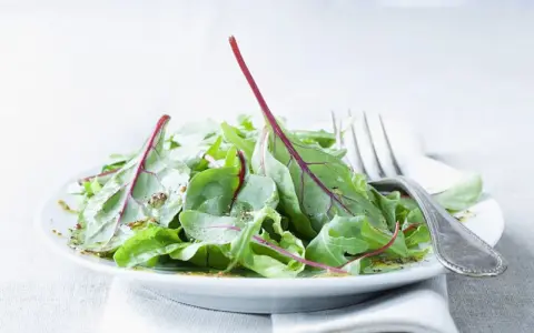 Frischer Mangoldsalat mit roten Stielen, beträufelt mit einem leichten Dressing, bereit zum Genießen.