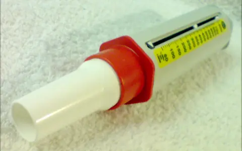 Nahaufnahme eines Peak-Flow-Meters mit Skala und rotem Mundstück.