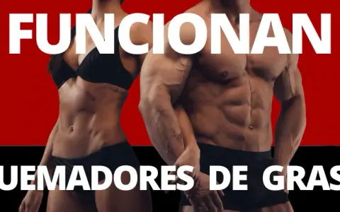Quema grasa y define: Suplementos con evidencia que sí funcionan