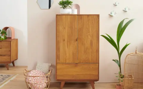 Un buffet haut en bois de chêne, avec un tiroir et deux portes, orné de plantes et d'objets décoratifs.