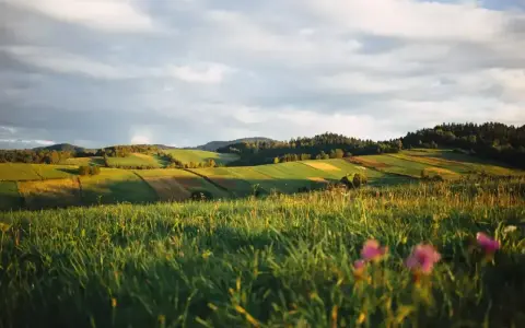 Zielone wzgórza, pola i lasy w słońcu. Idealne miejsce, by zastanowić się, gdzie najbliżej w góry z łodzi.