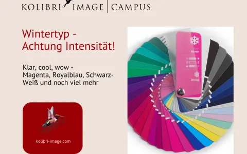 Farbpalette für den Wintertyp mit intensiven Farben wie Magenta und Royalblau. Klare, kühle Töne.