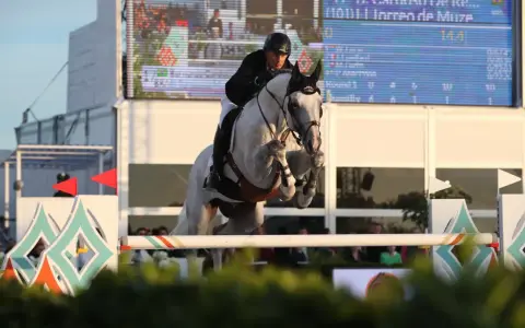 Un cavalier et son cheval gris, levis de muze, franchissent un obstacle lors d'une compétition d'équitation.